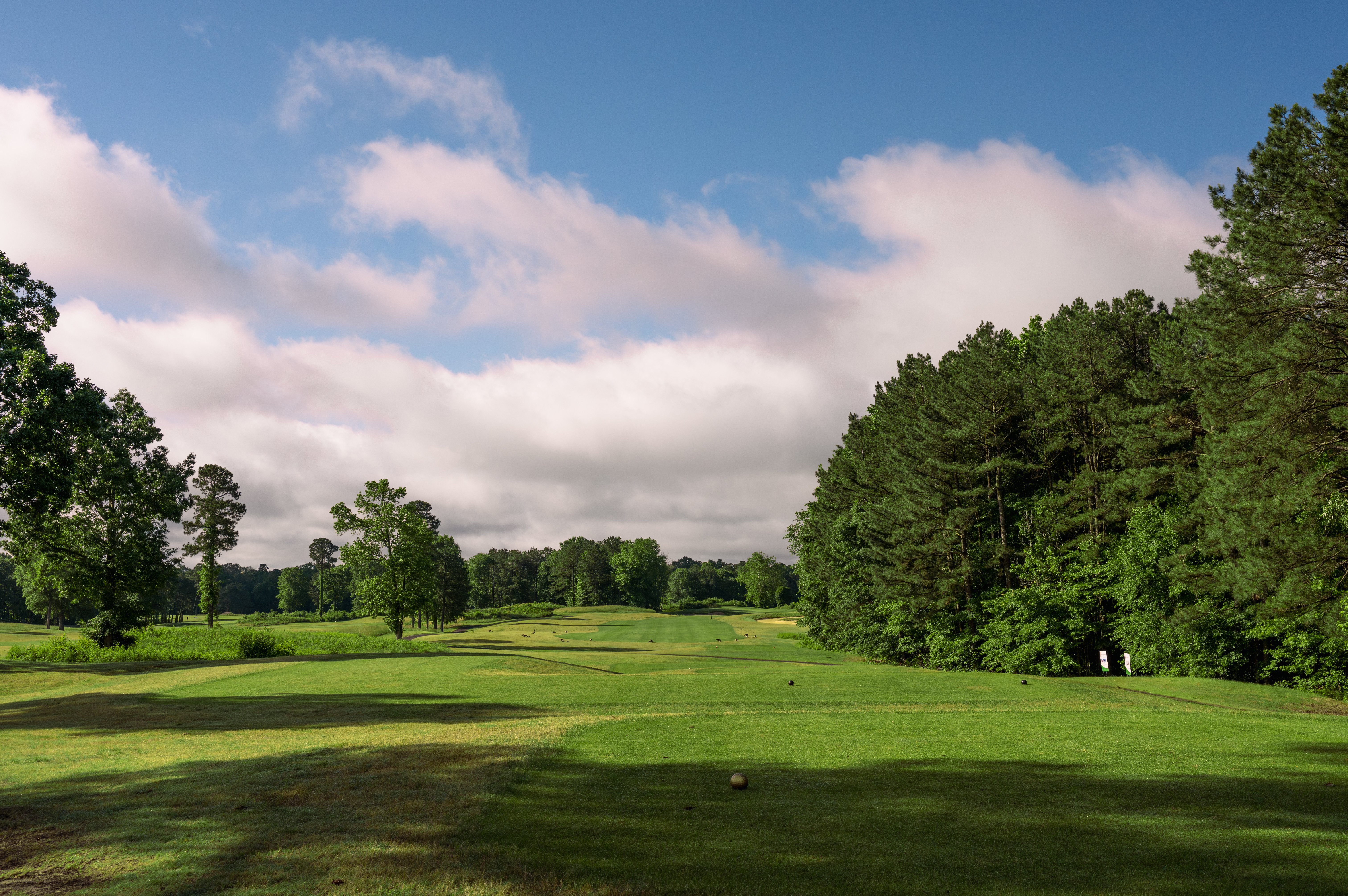 2025_GolfTournament_57