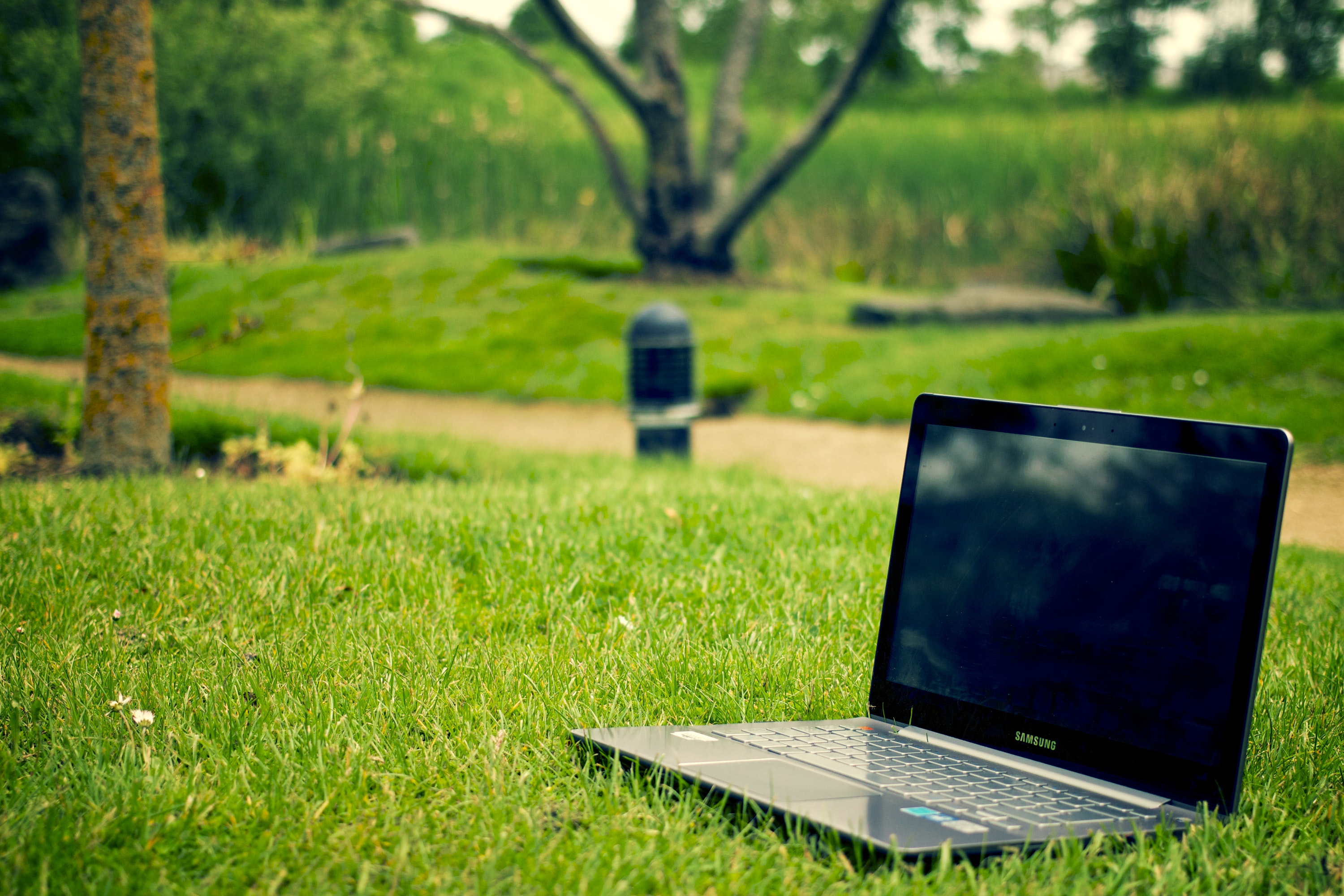 eco-grass-laptop-meadow-3129