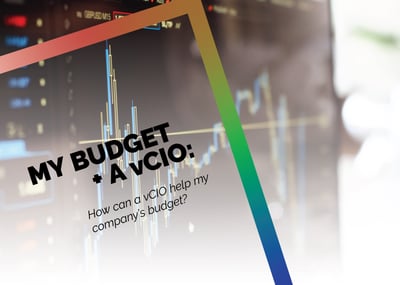 vCIO-budget