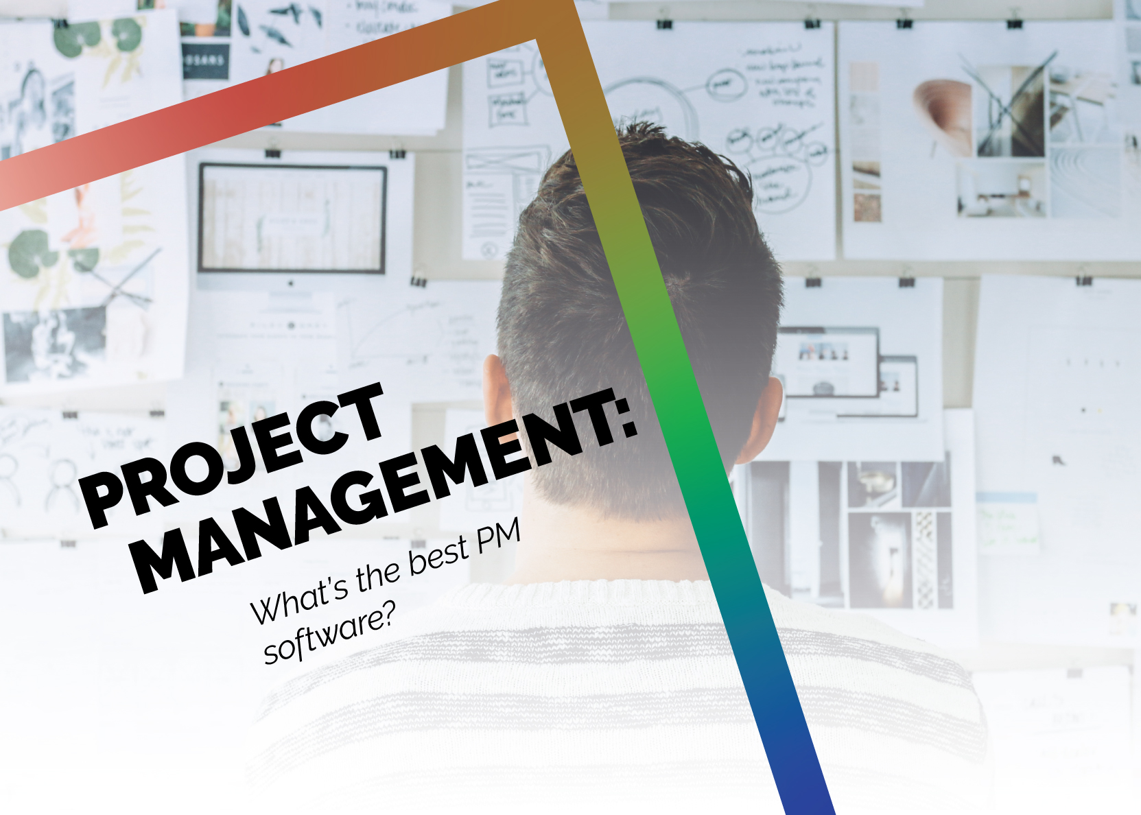 What's the Best Project Management Software?